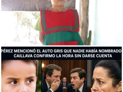 ¿El momento en que la traición familiar se convirtió en un escándalo nacional? La confesión del hermano de Loan que revela una red de mentiras y complicidades en Corrientes…  En una audiencia que quedará en la historia, José Peña rompió en llanto y acusó a su propia tía de ser la pieza clave en un rompecabezas de mentiras, encubrimientos y traiciones. La evidencia: pruebas de manipulación, falsificación y movimientos sospechosos en la vivienda que sugieren que la red de encubrimiento va mucho más allá de lo que parece. “¿Es esta toda la historia… o solo la parte que quieren que creamos?” ¿Hasta dónde llega la corrupción y qué secretos aún permanecen en la oscuridad?