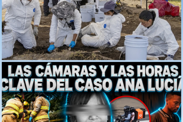 Se quiso vengar de su pareja m4t4ndø a su hermanita de 9 años: Detalles del CRIMEN en ALCANTARILLA