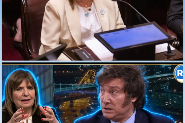 ¡TERREMOTO EN LA ROSADA! ¿BULLRICH LE SUELTA LA MANO A MILEI?